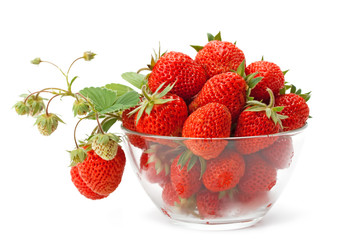 Wall Mural - sweet fragrant strawberries