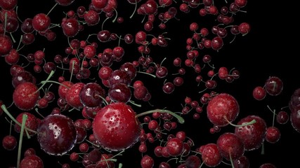 Wall Mural - Cherries with Water Drops.