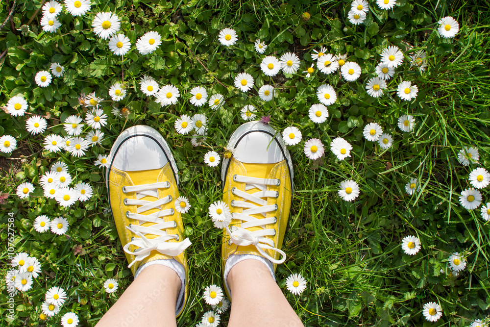 Yellow sneakers decorated with daisies - obrazy, fototapety, plakaty 