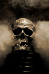 Wall Mural - front of real skull in abstract smoke