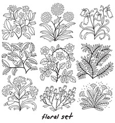  Set of plants with flowers and leaves