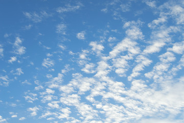 Wall Mural - High Cumulus or Altocumulus clouds in deep blue spring sky