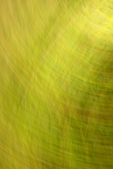 blurred colored background with a predominance of green summer color