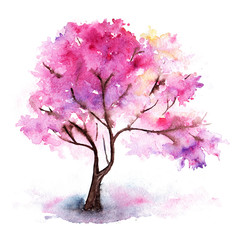 Watercolor single pink cherry sakura tree isolated