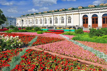 in the alexander garden in moscow is always blooming tulips and other flowers