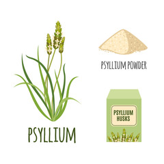 Wall Mural - Superfood psyllium set in flat style.