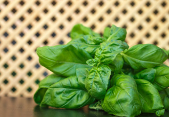 A bouquet of fresh organic Basil