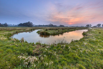 Wall Mural - Regge river meander sunset