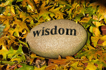 wisdom rock with engraved letters