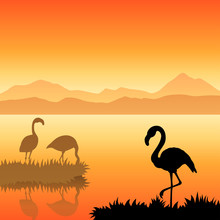 Flamingo Silhouette Landscape Nature Sunset Sunrise Illustration Vector