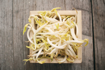 Poster - Bean sprouts