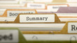 File Folder Labeled as Summary in Multicolor Archive. Closeup View. Blurred Image. 3D Render.
