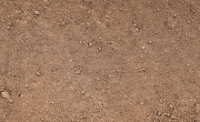Brown Ground Surface. Close Up Natural Background
