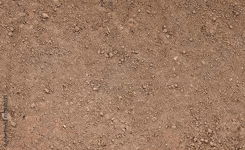 Cuadros en Lienzo Brown ground surface. Close up natural background