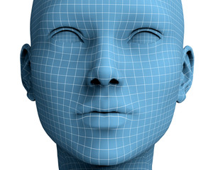 woman face in wireframe lines isolated on white.3D illustration