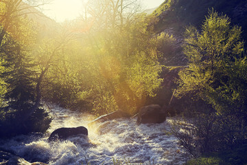 Wall Mural - Mountain river