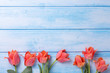Border from aromatic coral tulips  on blue  painted wooden backg