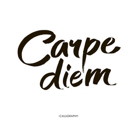 Wall Mural - Carpe diem. In latin means Catch the moment. Hand-lettering using a brush inspirational quote  isolated on white background. Vector calligraphy art.