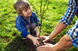 © maxbelchenko - Curious little boy helping his father to plant the tree while working together in the garden. smile face. sunset. spring time