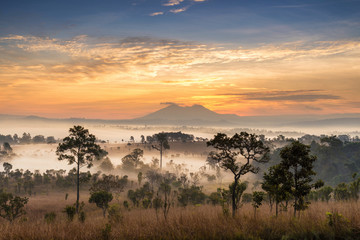 Wall Mural - beautiful scenary in the central part of thailand over the valle