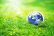 Globe in the garden, Earth on green grass eco concept, Elements of this image furnished by NASA