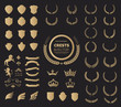 Crest logo element set, Coat of arms, Award laurel wreaths and branches vector illustration.