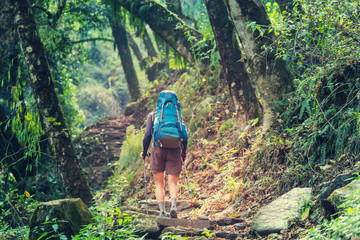 Wall Mural - Hike in Nepal jungle