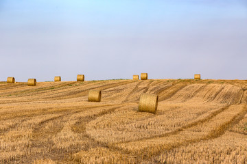 Poster - Hay bales on the field after harvest