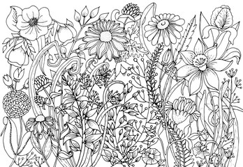 Hand drawn with ink background with doodles, flowers, leaves. Nature design for relax and meditation.