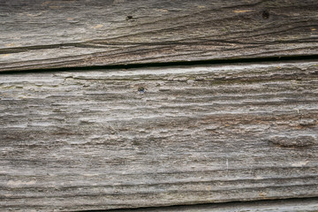 Wall Mural - Old wood texture as background