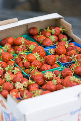 Organic Norwegian strawberies in a paper box. Fresh berries just picked up in the strawberry field in a countryside ready for healthy snacks and desserts.