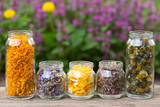 herbs and flower petals in glass jars on the background of blossoming spring plants. with space for text. the concept of aromatherapy, homeopathy, alternative medicine
