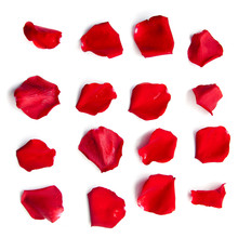 Set Of Red Rose Petals On White