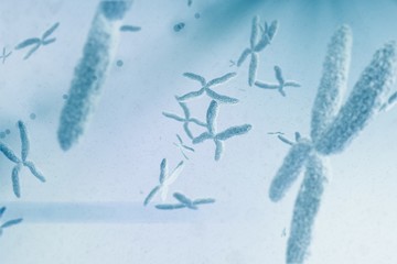 Sticker - Composite image of view of a chromosome