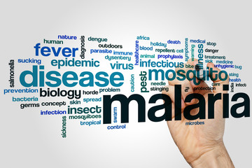 Canvas Print - Malaria word cloud