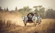 Burmese rural man driving wooden cart with hay on dusty road drawn