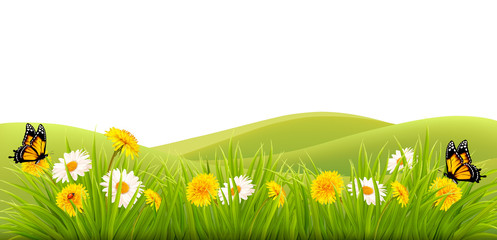 Poster - Spring background with grass, flowers and butterflies. Vector.