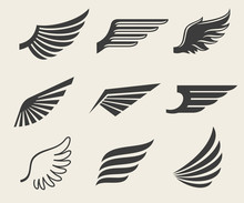 Wings Vector Icons Set. Wing Set, Icon Wing, Feather Wing Bird Illustration