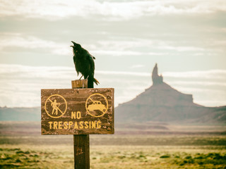 Wall Mural - monument valley, utah, usa