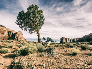 Wall Mural - monument valley, utah, usa