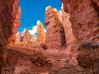 Wall Mural - bryce canyon