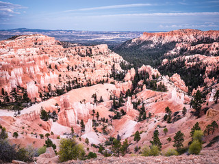 Wall Mural - bryce canyon
