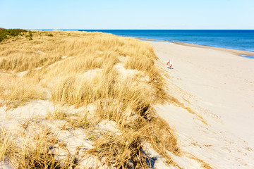 Grass covered sand dunes by the seaside, turning into a lovely sandy beach with a lifebuoy at the slope. Sandhammaren, Sweden.