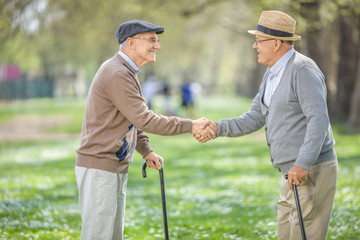 Two old friends meeting in park and shaking hands