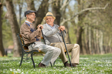 Canvas Print - Two old friends talking in park