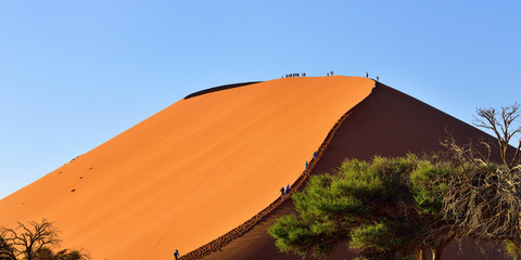 SOSSUSVLEI, NAMIBIA, DUNE 45