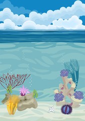 Sticker - underwater landscape background with different corals and Sea urchin
