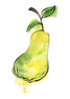 pear isolated, watercolor illustration