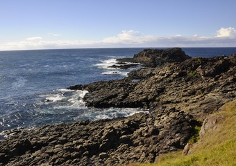 Rocky coast near Kiama, New South Wales, Australia