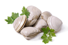 Seafood, Clams Isolated On White